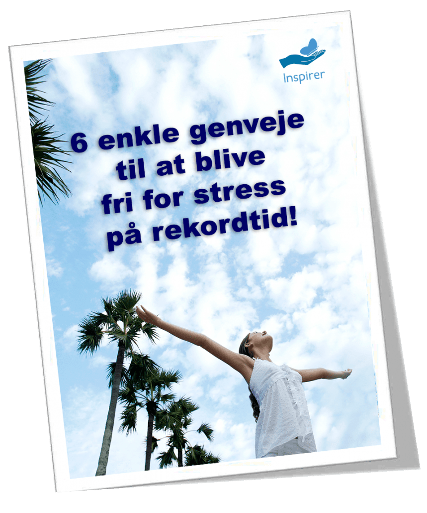 6 enkle genveje til at blive fri for stress på rekordtid